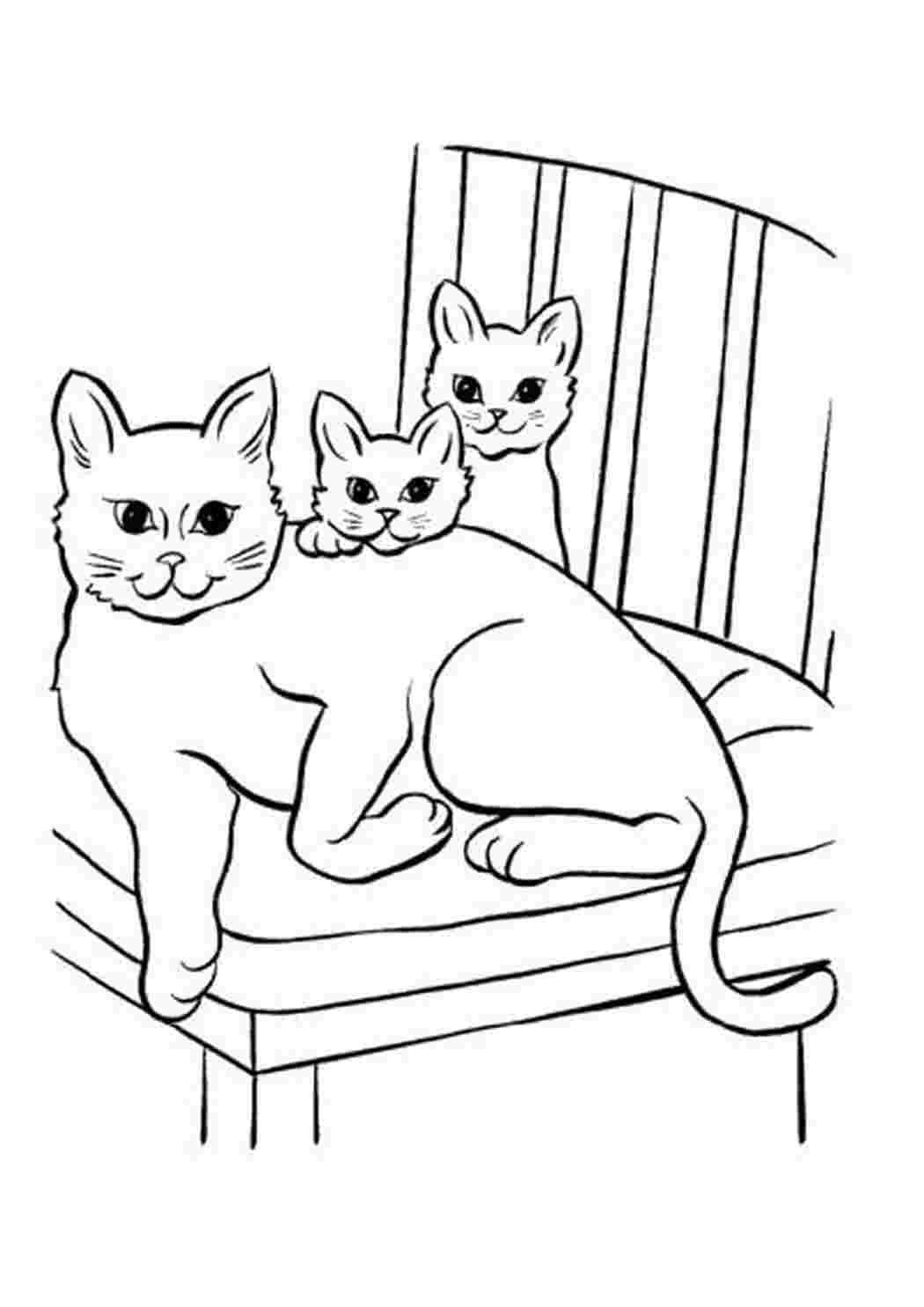 ,семья котов на стуле,