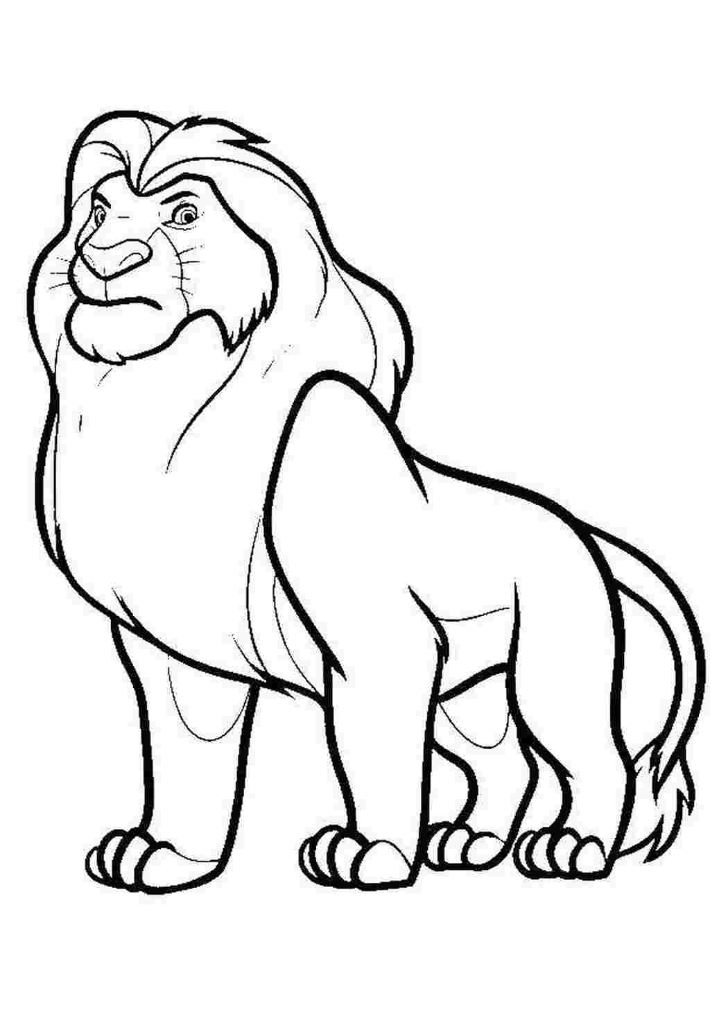 Раскраски Король лев симба Король лев король лев, Симба