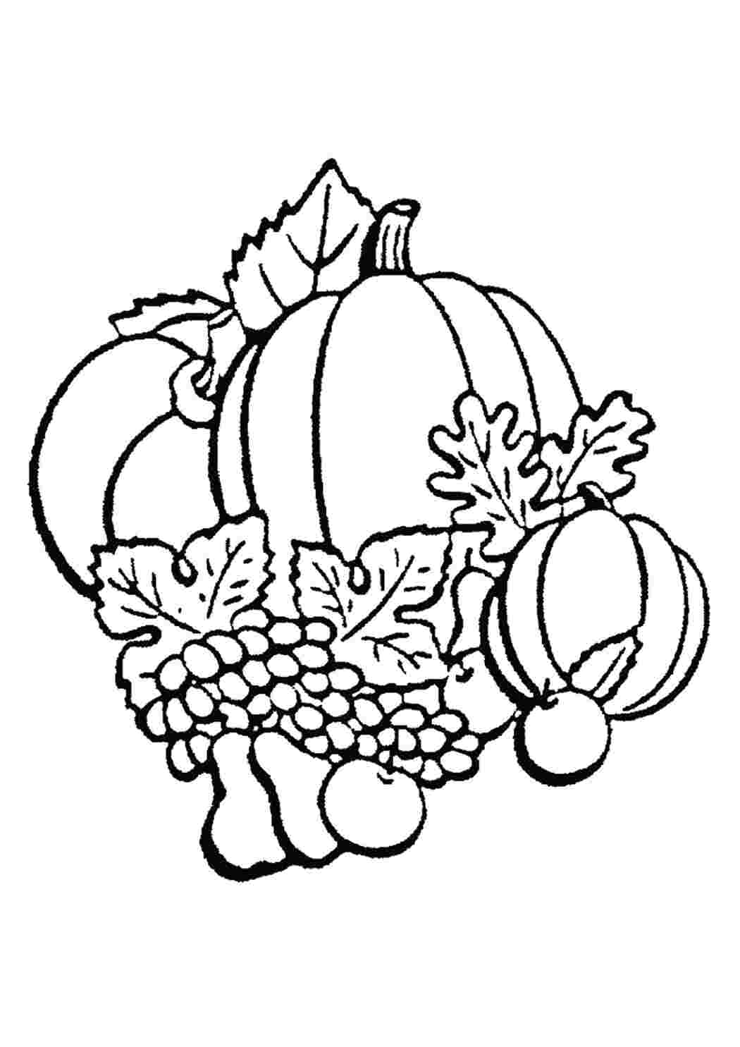 Раскраски Тыквы, фрукты, виноград Осень урожай, тыквы, виноград, яблоки