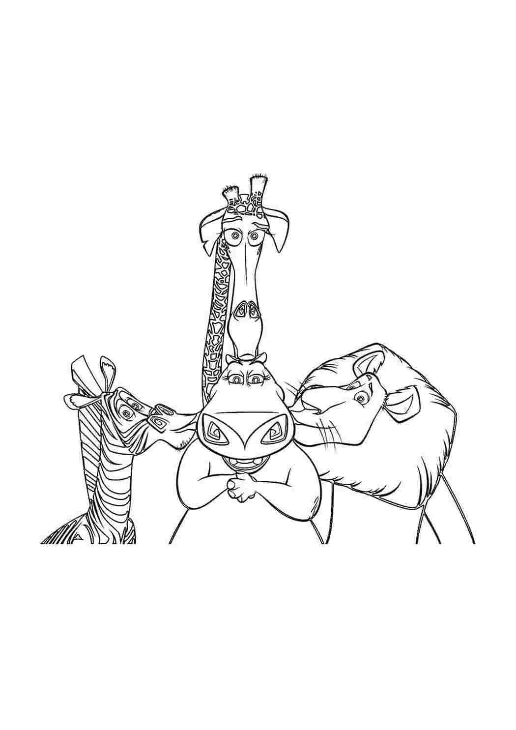 Раскраски Персонажи из мультфильма мадагаскар  мадагаскар Персонаж из мультфильма