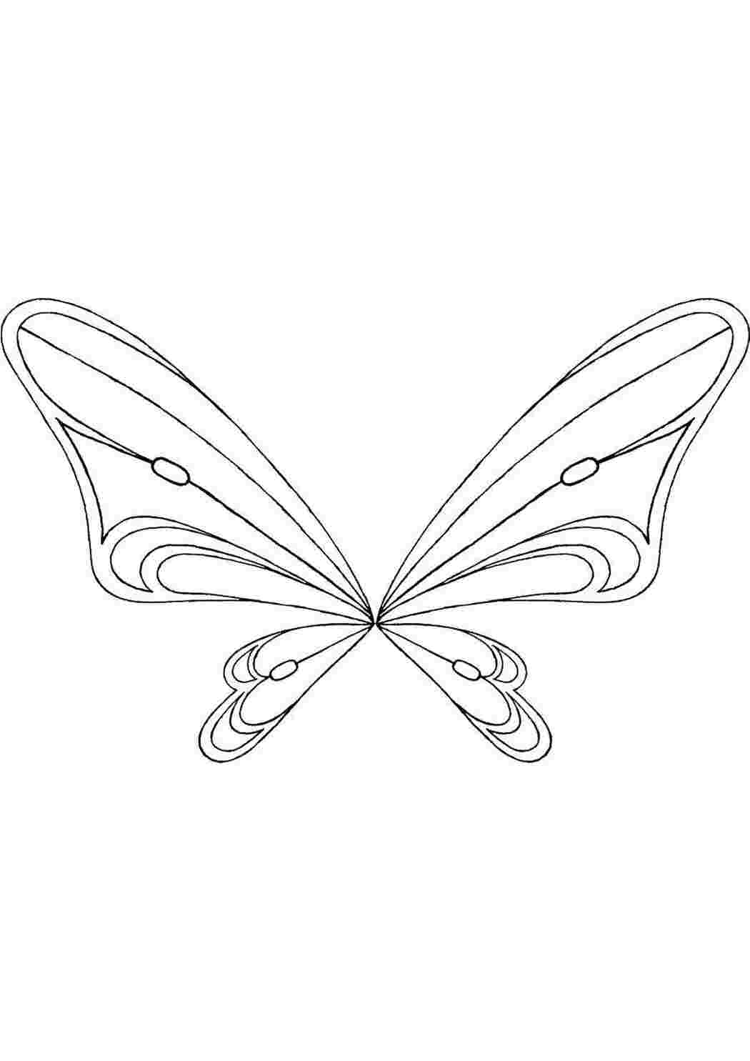 Бабочка Раскраска 2.5.0