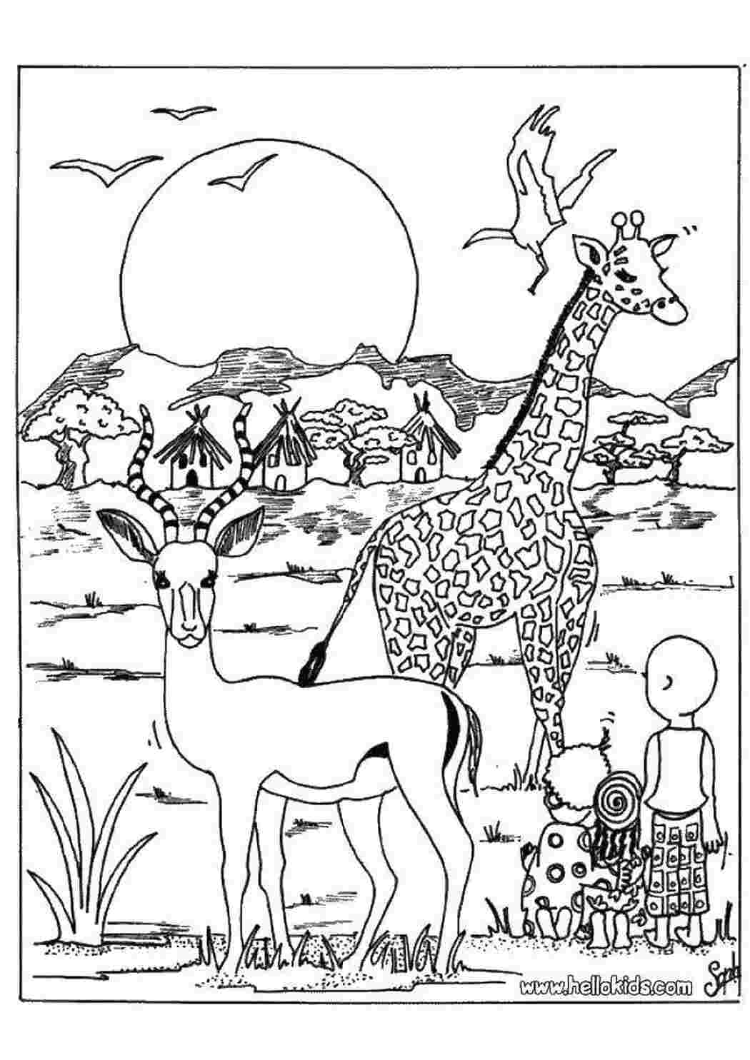 Раскраски антилопа раскраска с антилопой