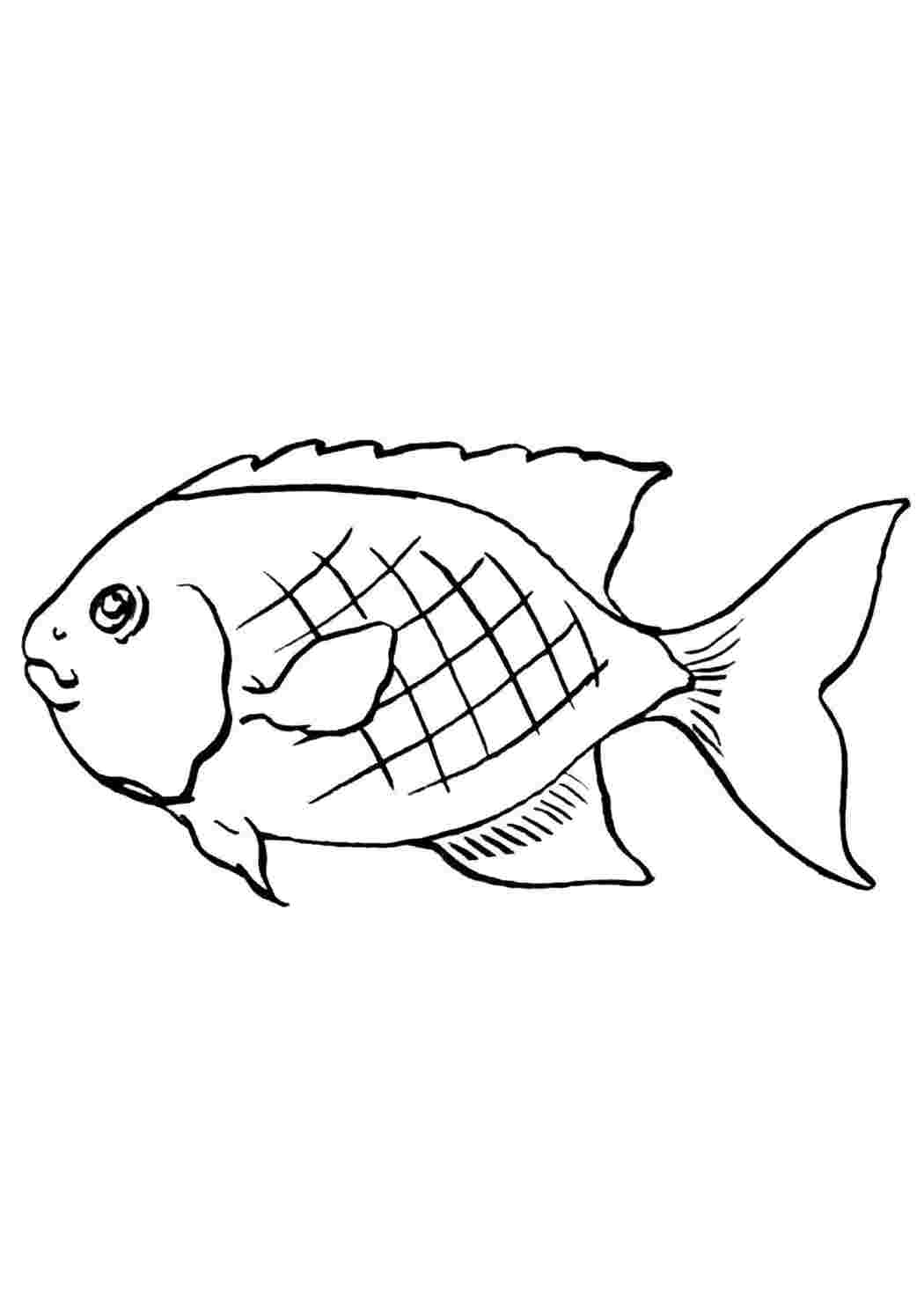 рыбы морские жители, море, рыбы, вода