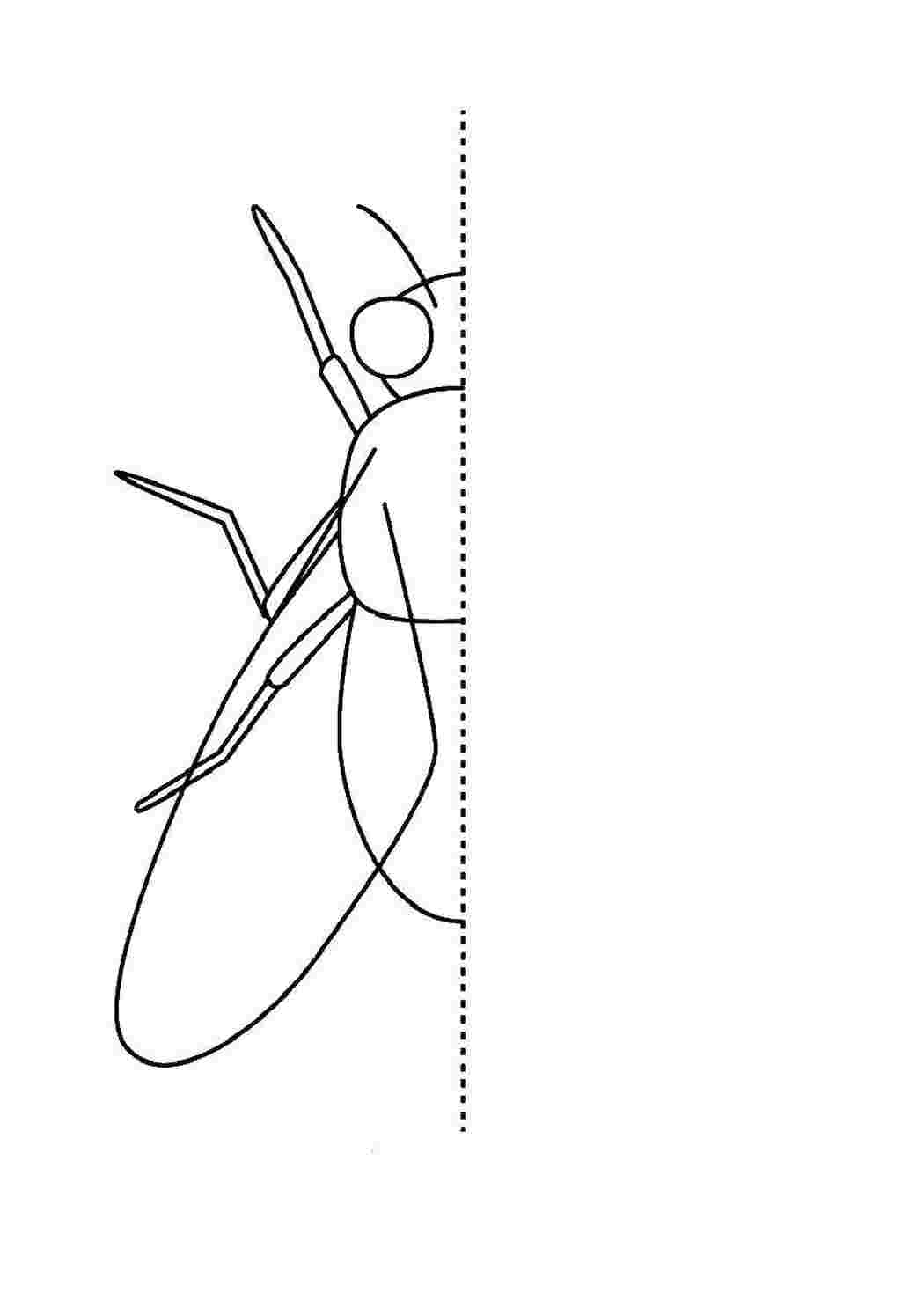 Раскраски Дорисуй по образцу муху Насекомые насекомые, муха