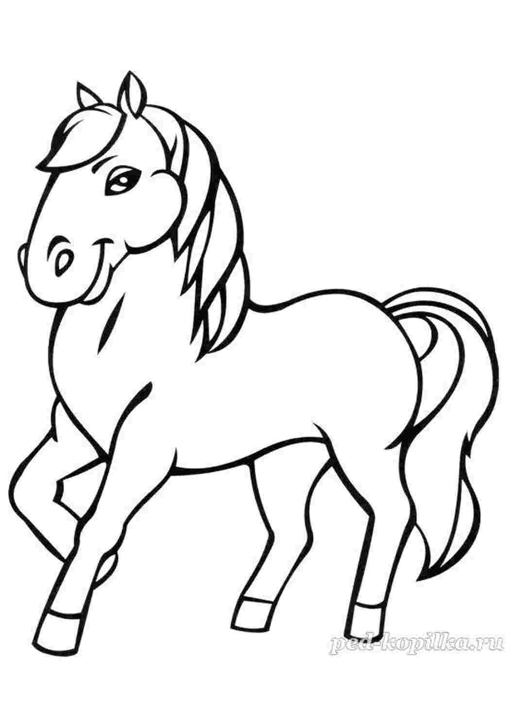 Раскраски Лошадь. Раскраска Домашние животные Лошадь