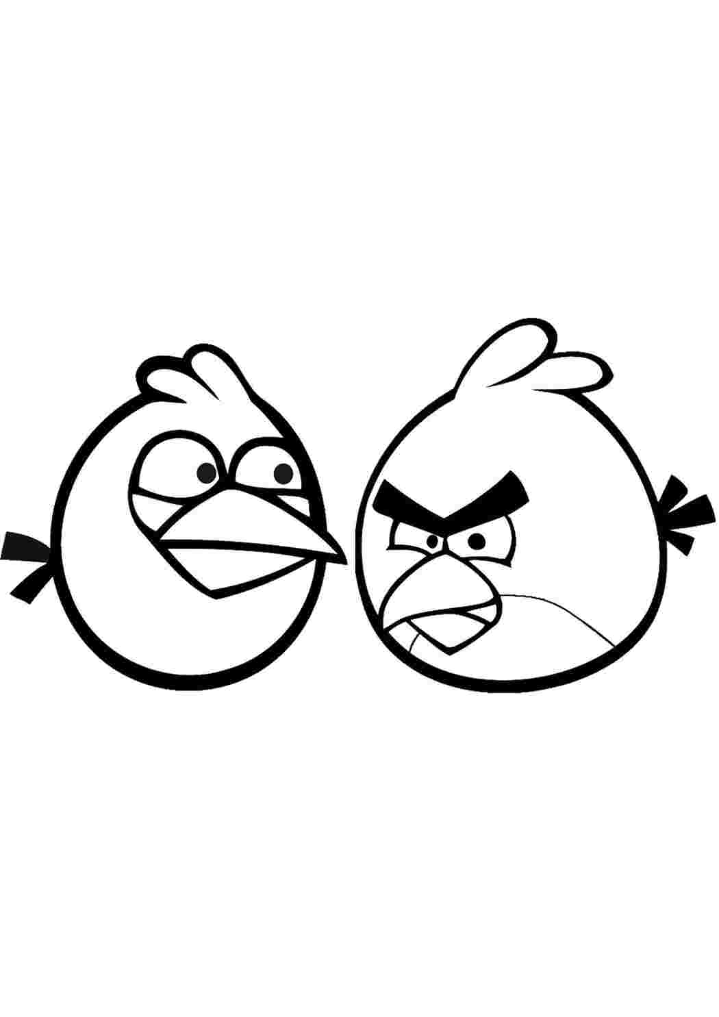 angry birds angry birds, птица