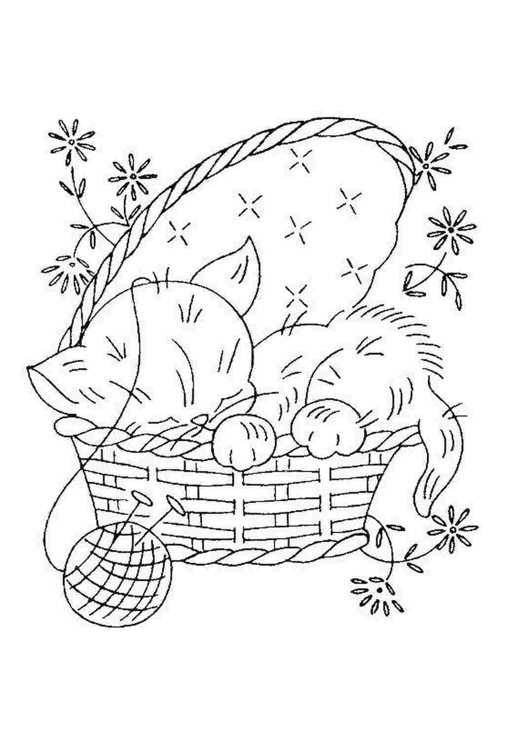 Раскраски Кошечка спит в корзине Кошка кошка, корзина