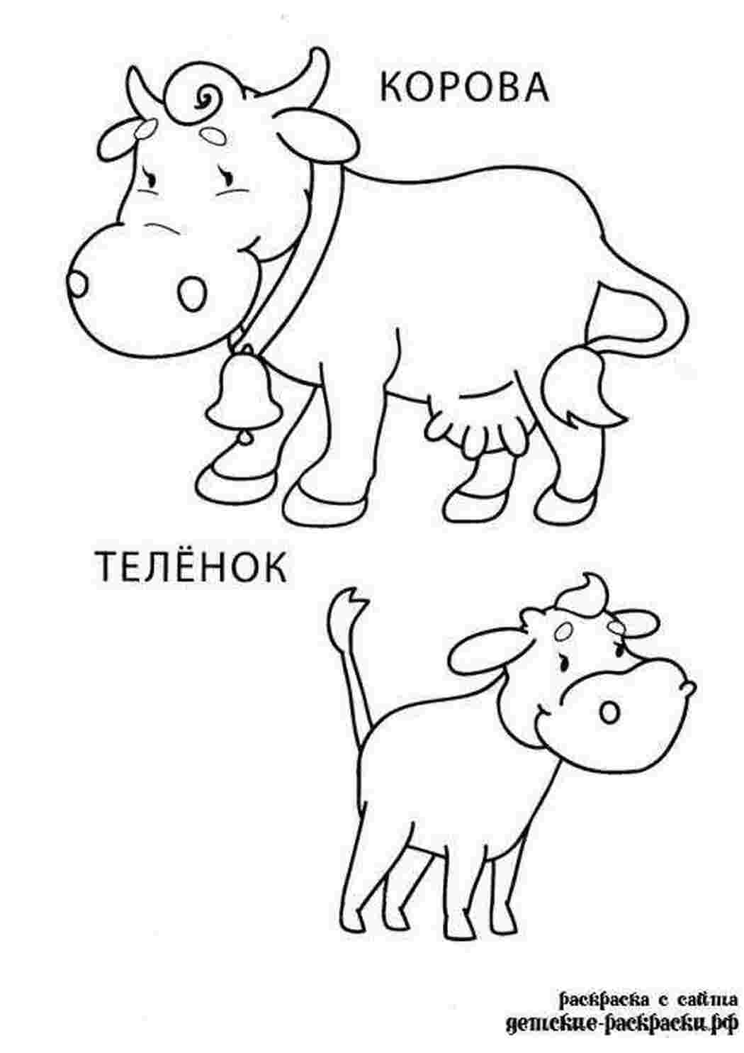 Раскраски Раскраски телята, коровы, быки   Рисунок коровы и теленка