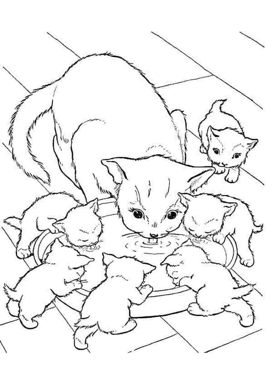 Раскраски Кошка с котятами кушают милые животные кошка, котята