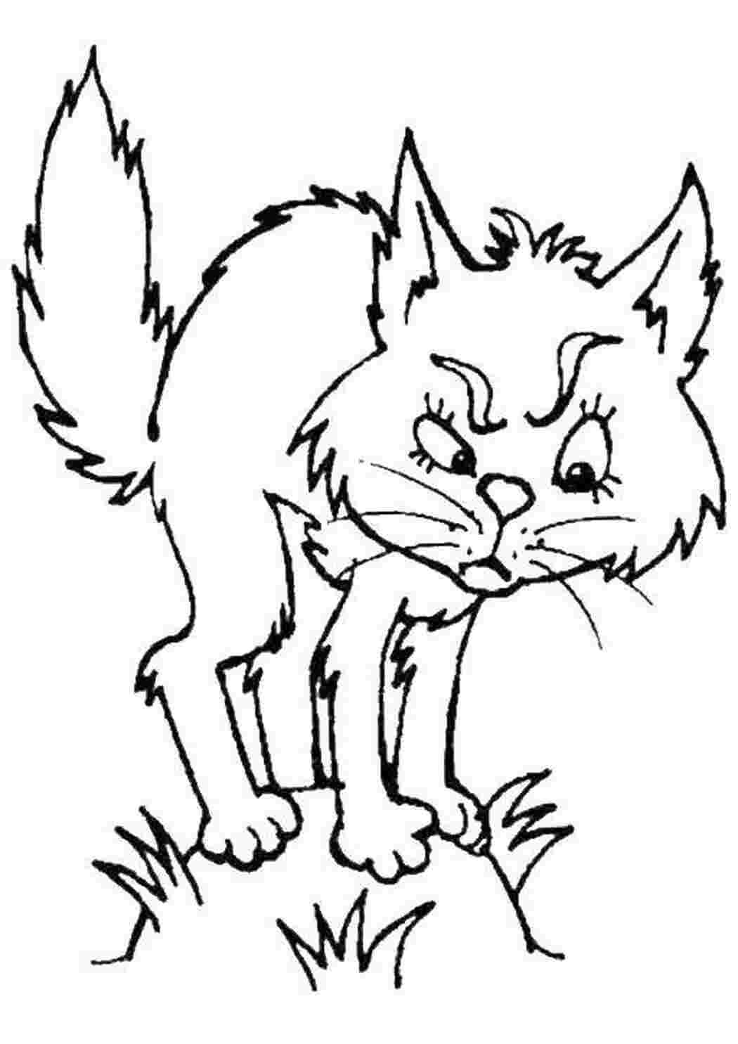Кошка кот