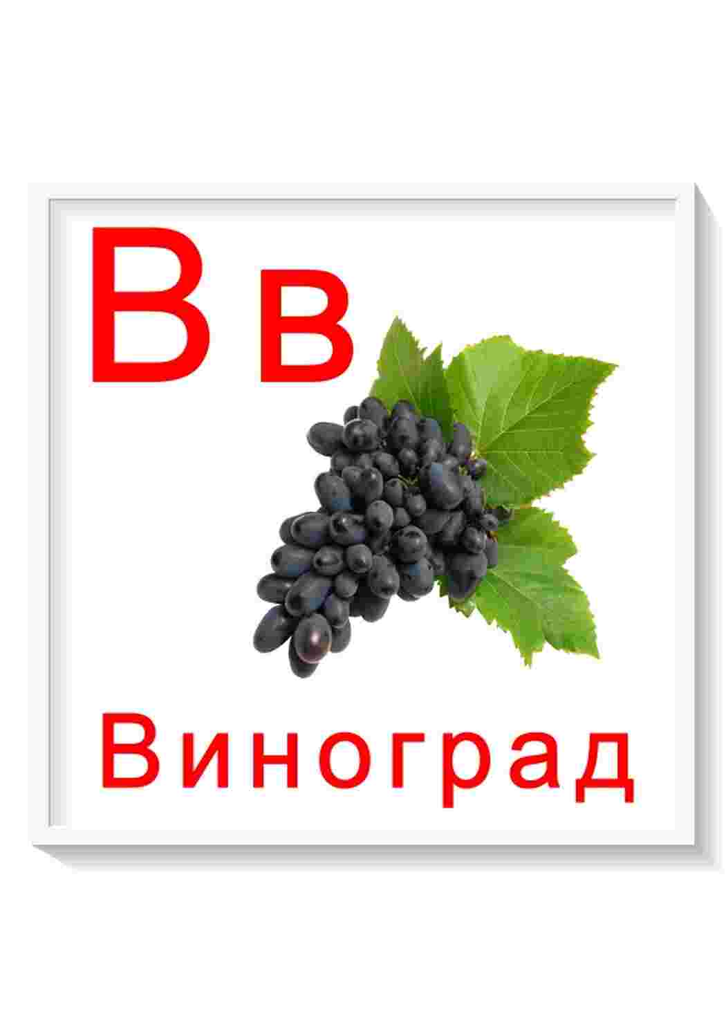 Раскраски Карточки буквы от я до я все буквы русского алфавита скачать для занятий с детьми в дошкольном возрасте Учим алфавит с дошкольниками в детском центре. Задания для подготовки детей к школе. 