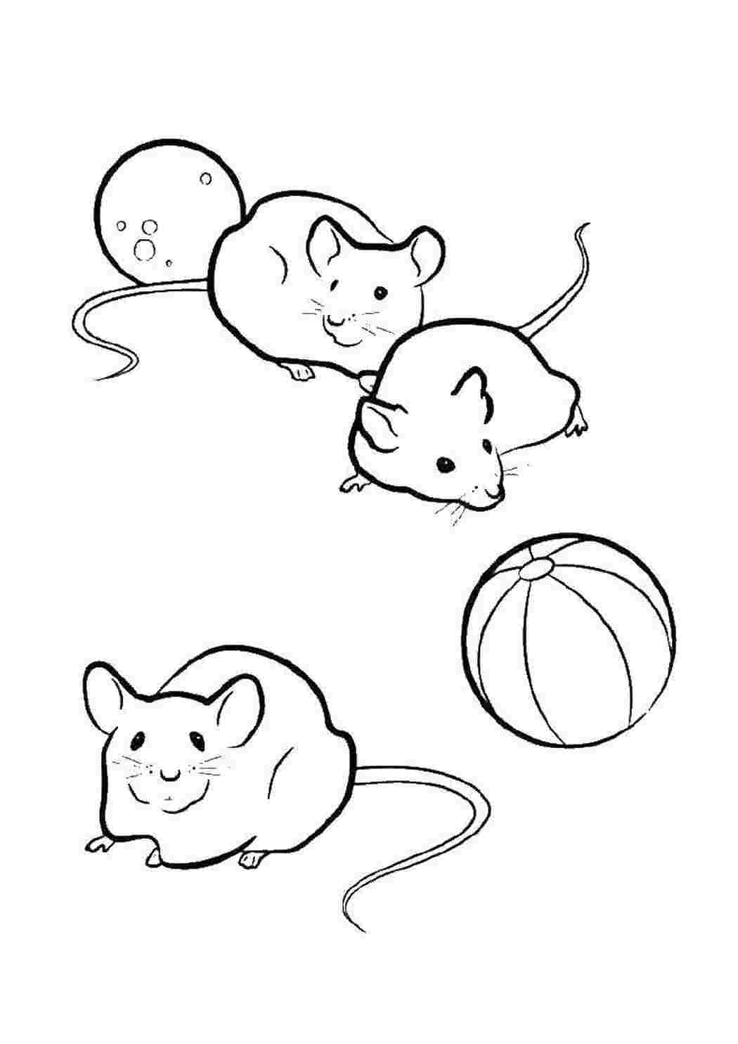 Раскраски Мышата с мячиком мышка Мышка, животные