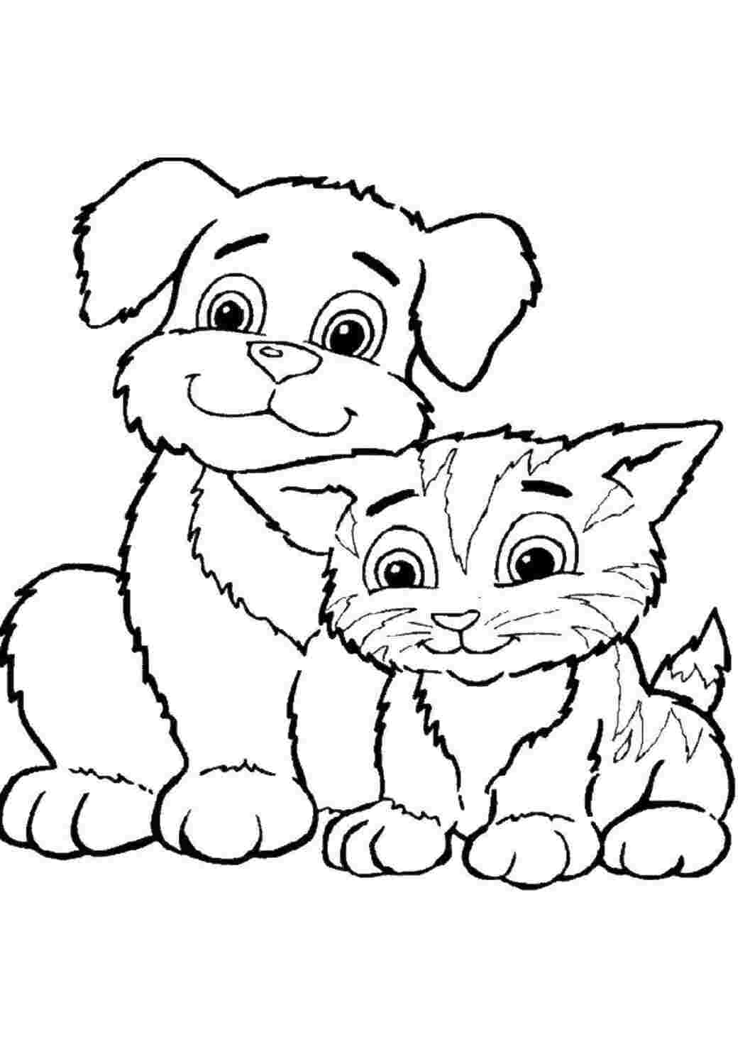 котята и щенки котенок, щенок, ушки