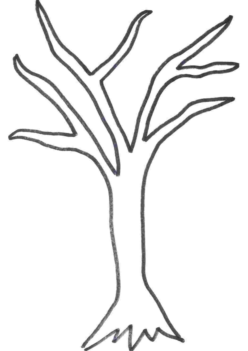 Дерево контур рисунок