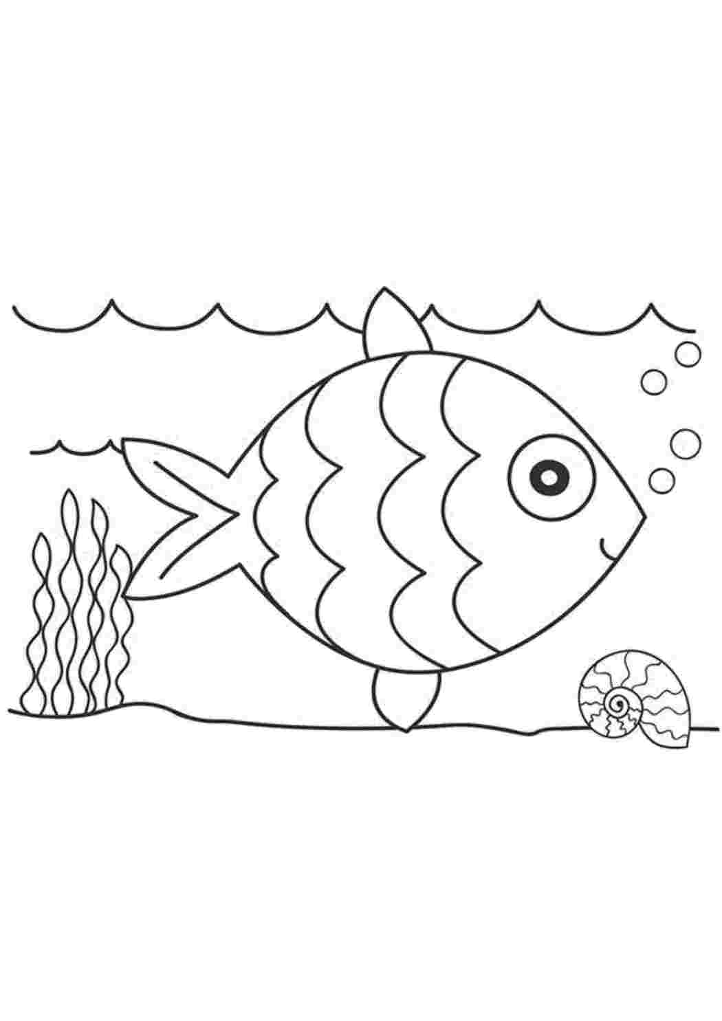 Как нарисовать рыбу ежа на бумаге карандашом поэтапно