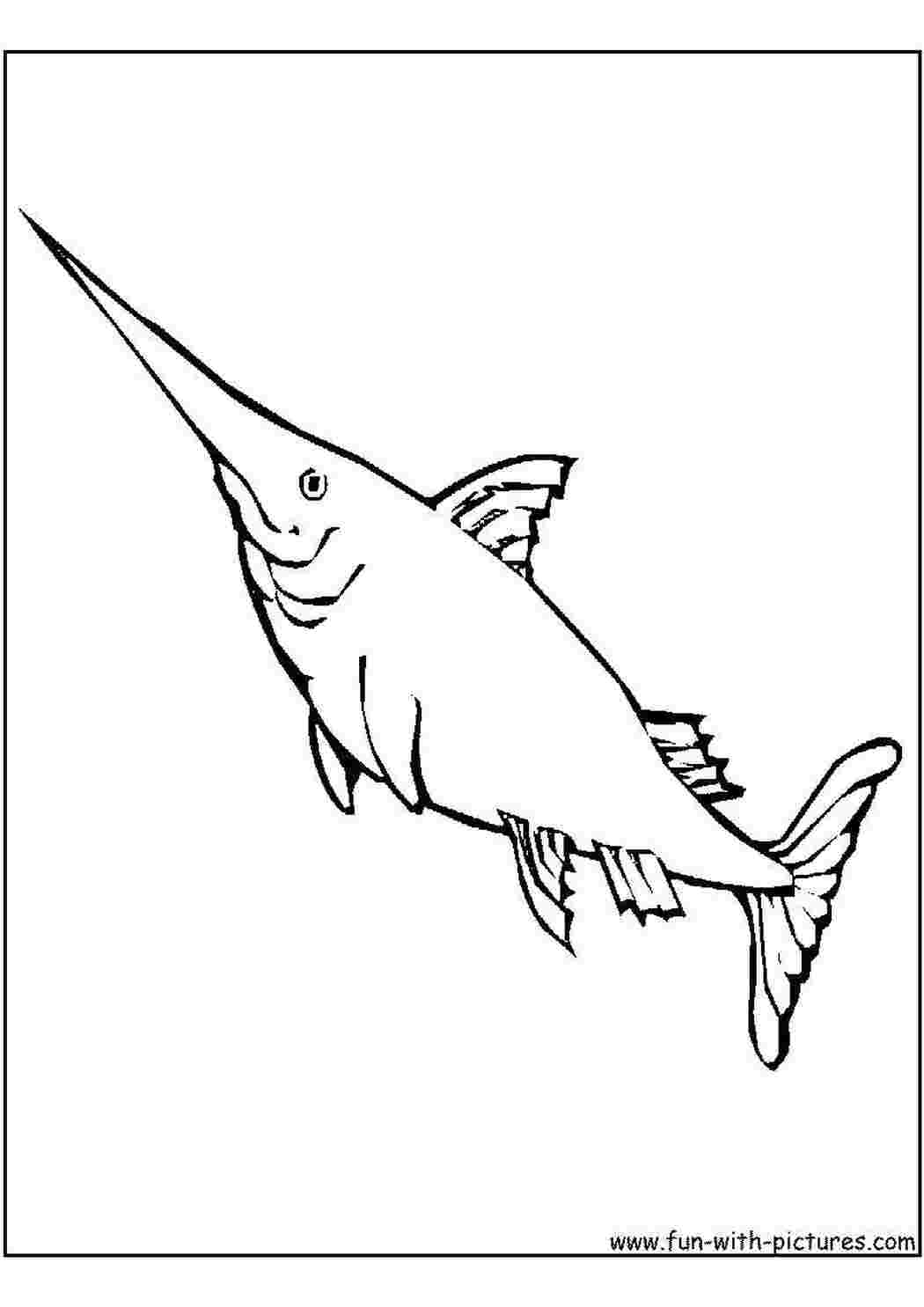 Раскраски Острый меч акулы раскраски Подводный мир, рыба