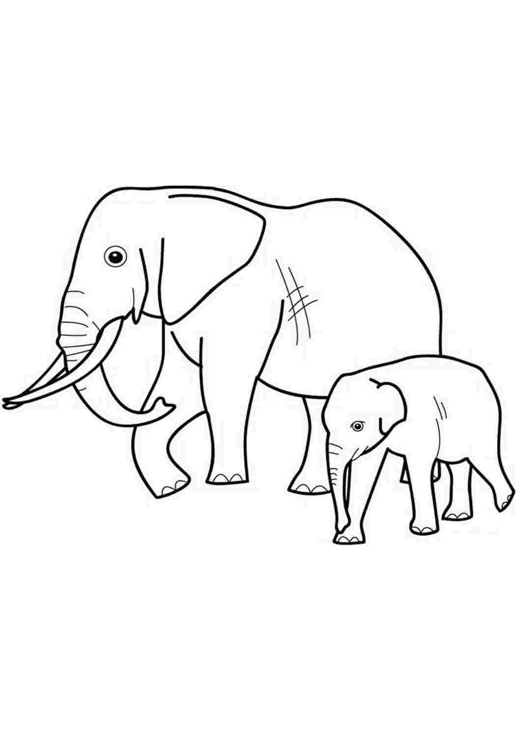 Акварельная раскраска Слоны, мини