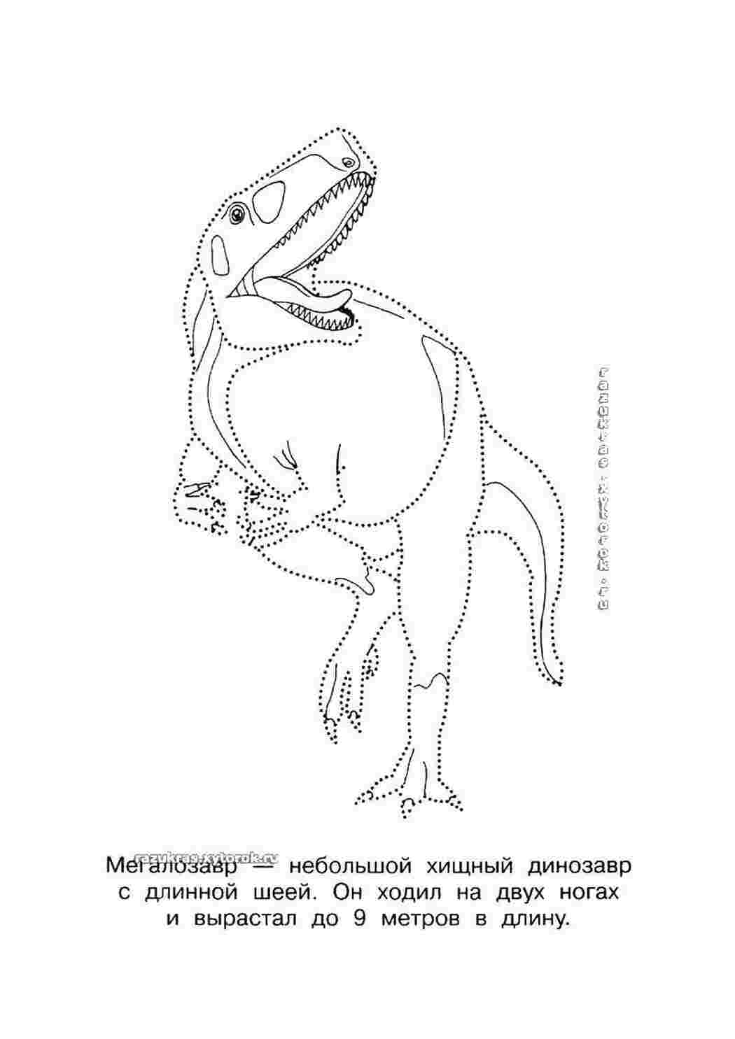 Раскраски Мегалозавр Контуры динозавров мегалозавр