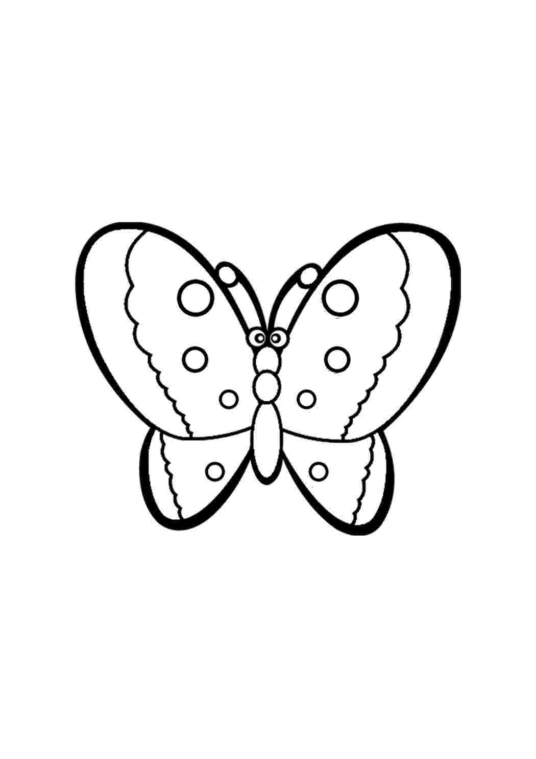 Раскраска Рисунок бабочки распечатать - Бабочки