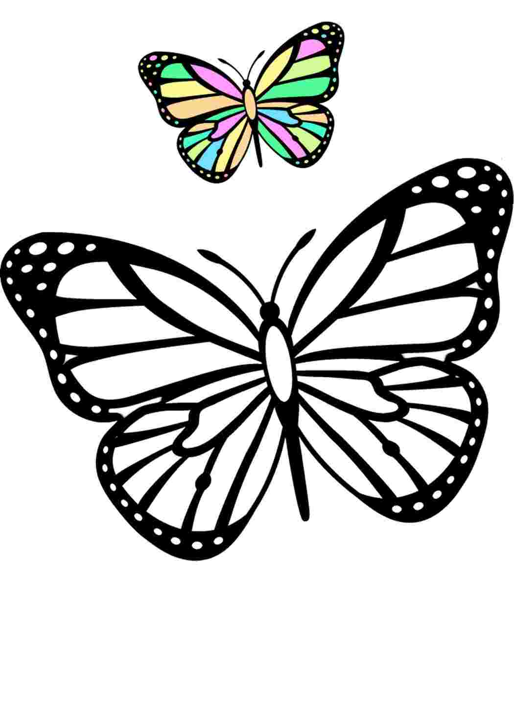 Картинки раскраски бабочки красивые (54 фото)