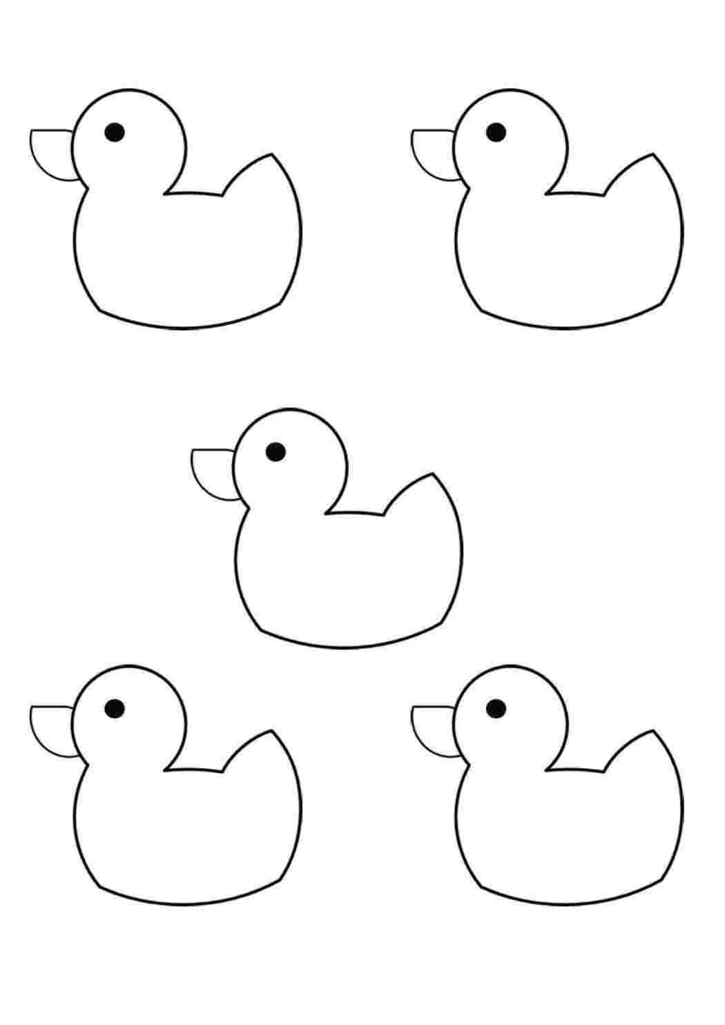 Раскраски Пять уточек Контуры для вырезания птиц утка