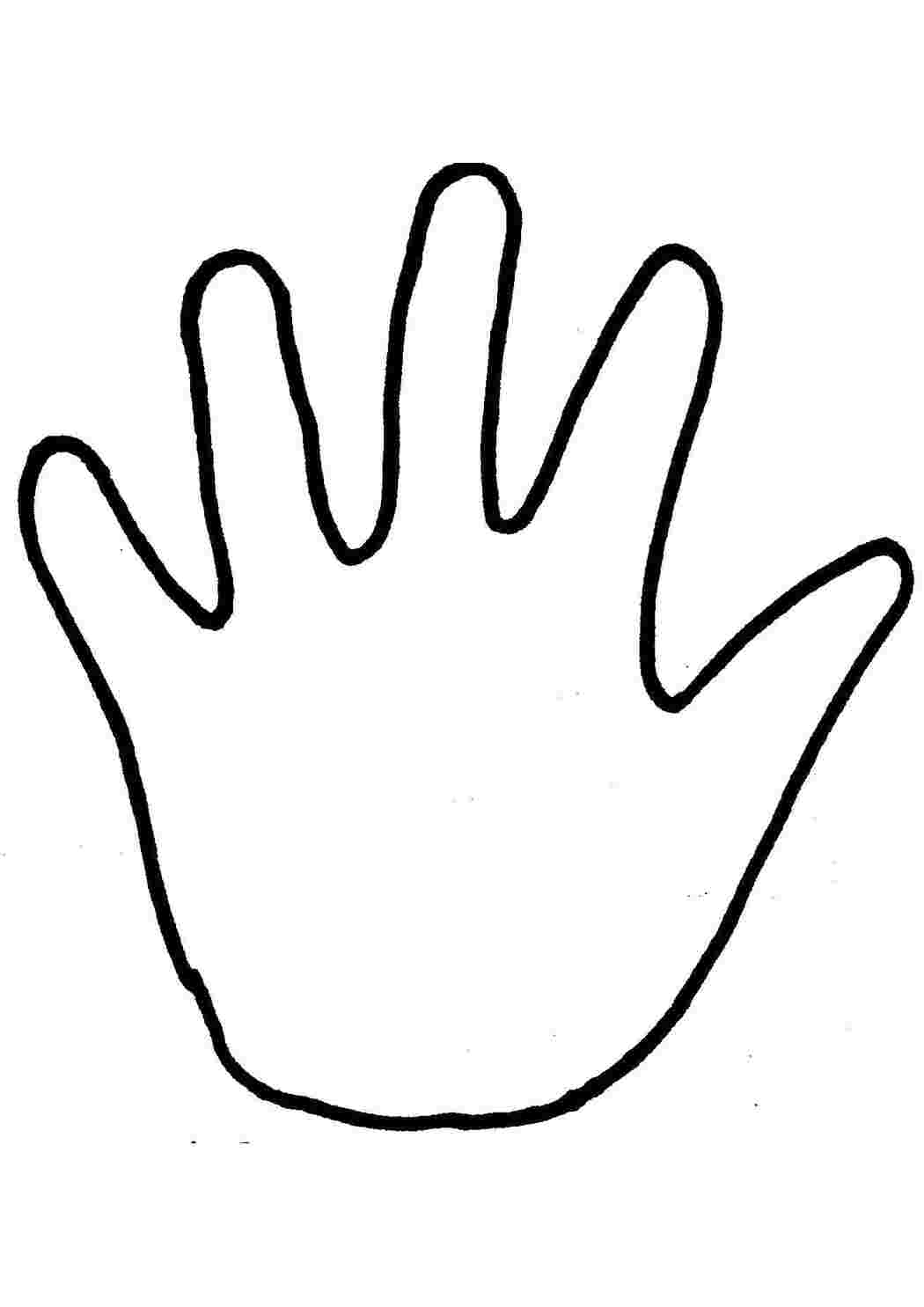 Как рисовать кисти рук: Конструкция| АРТАКАДЕМИЯ Курсы рисования Киев