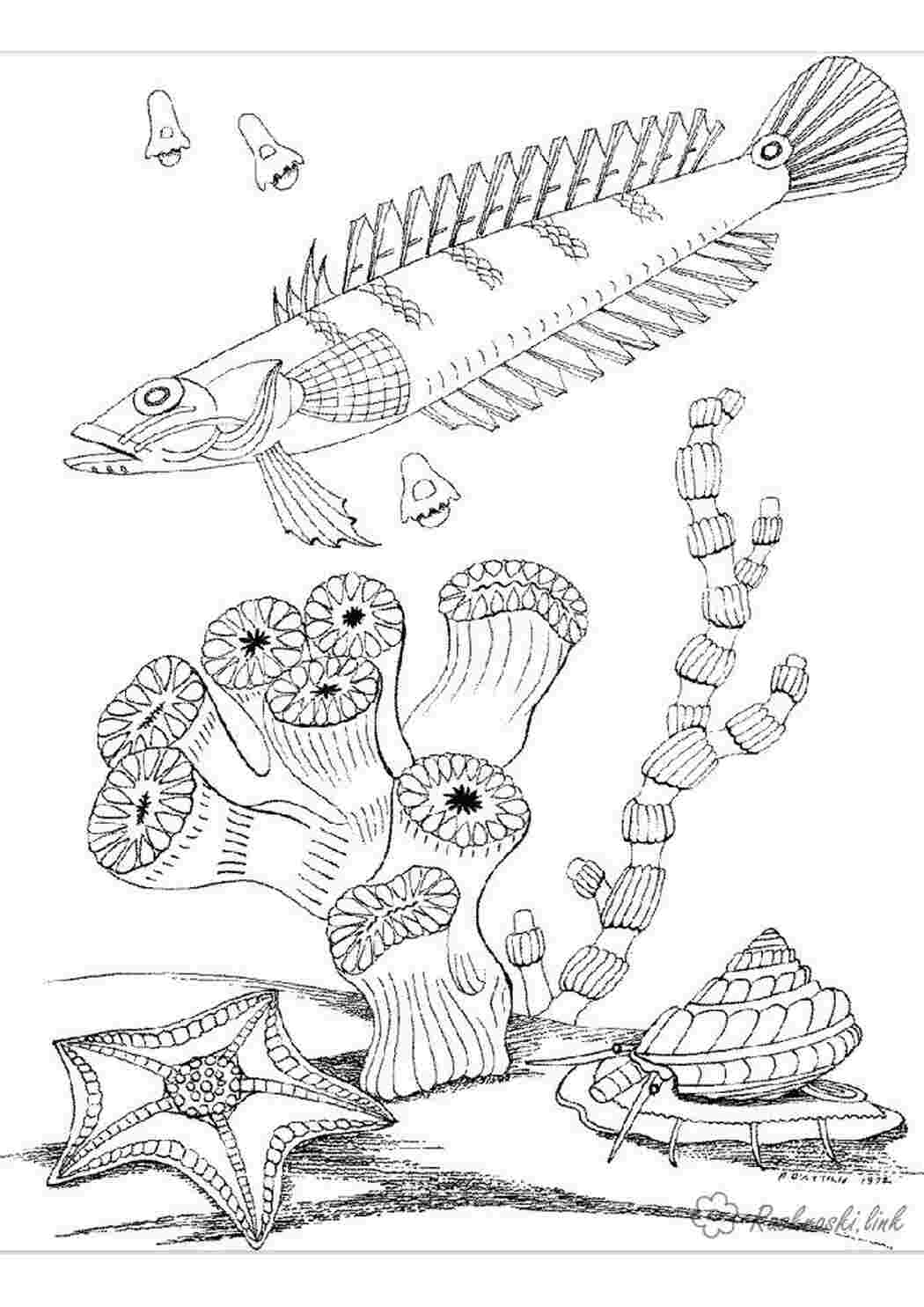 Раскраски Подводный мир 