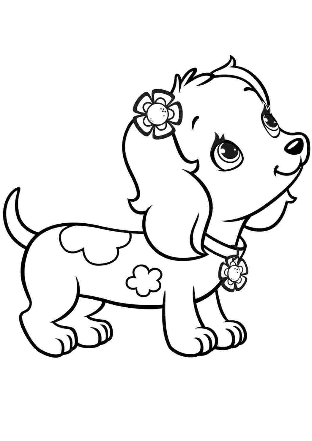 Раскраски для Девочек Собаки – купить в интернет-магазине OZON по низкой цене