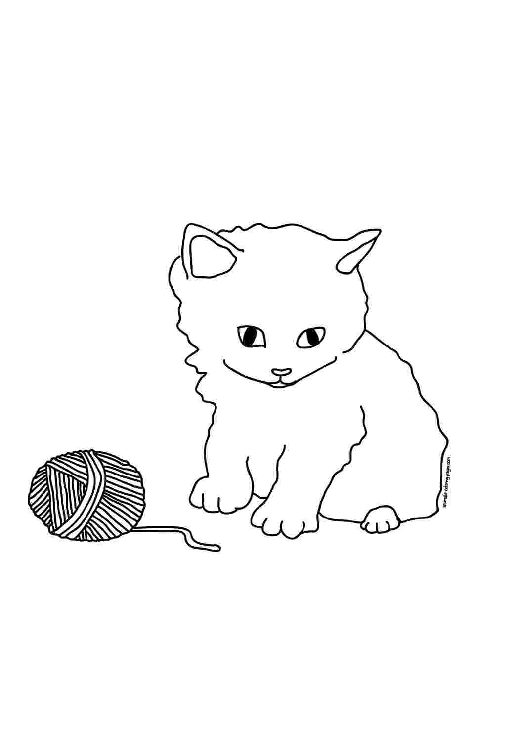 Коты и котята коты, кошка, клубок