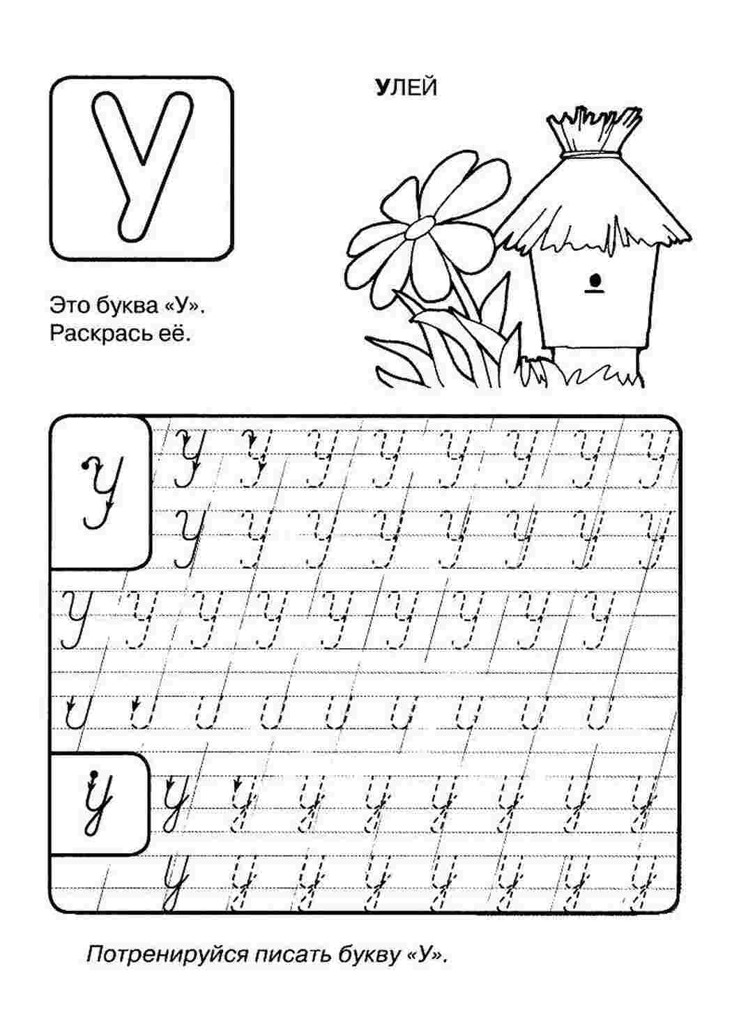 Раскраски У улей прописи буквы Алфавит, буквы, слова