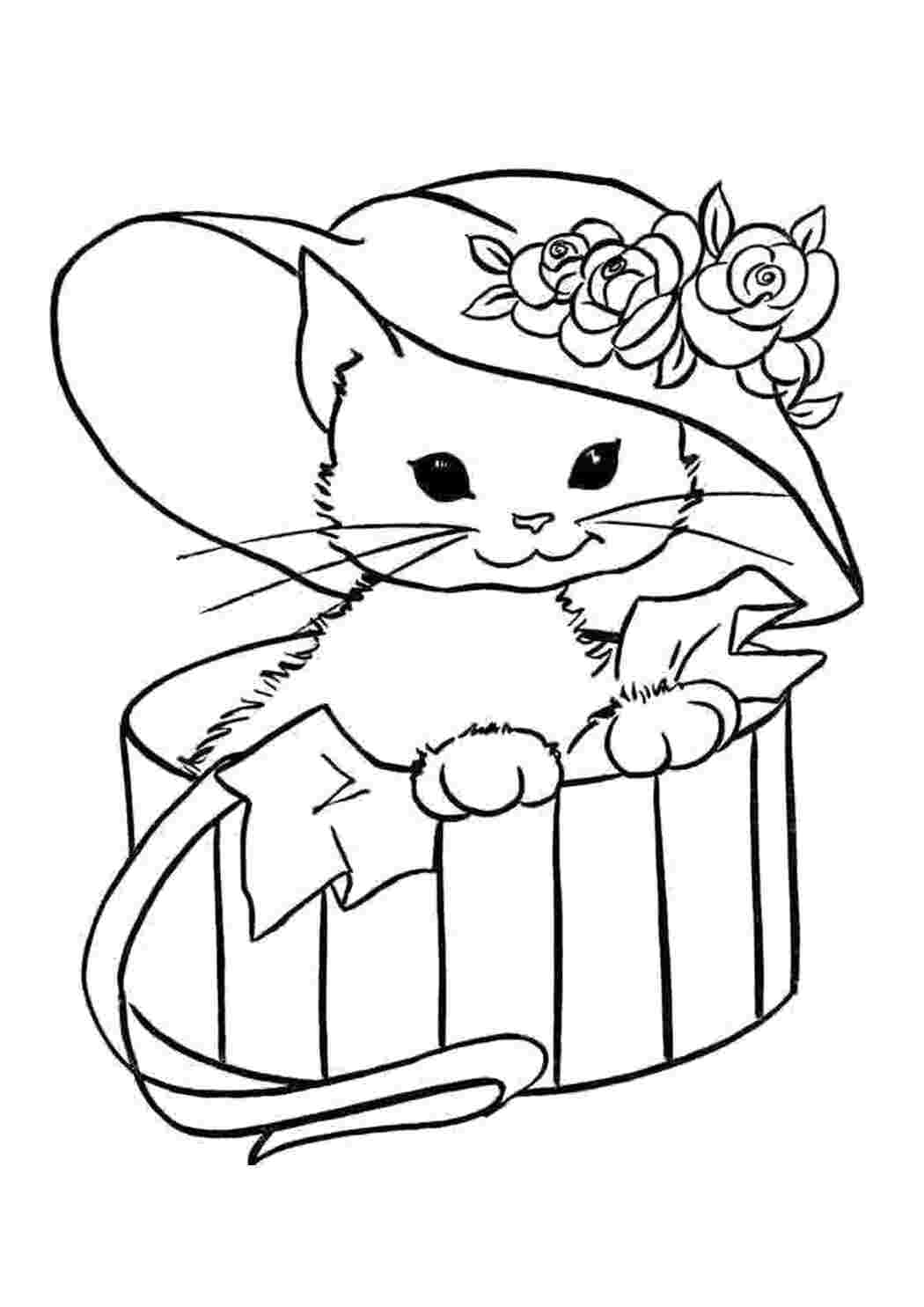 Домашние животные Котенок