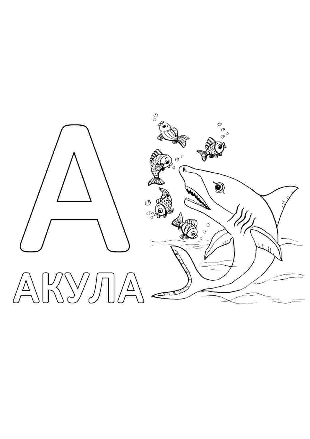 буквы акула, буквы