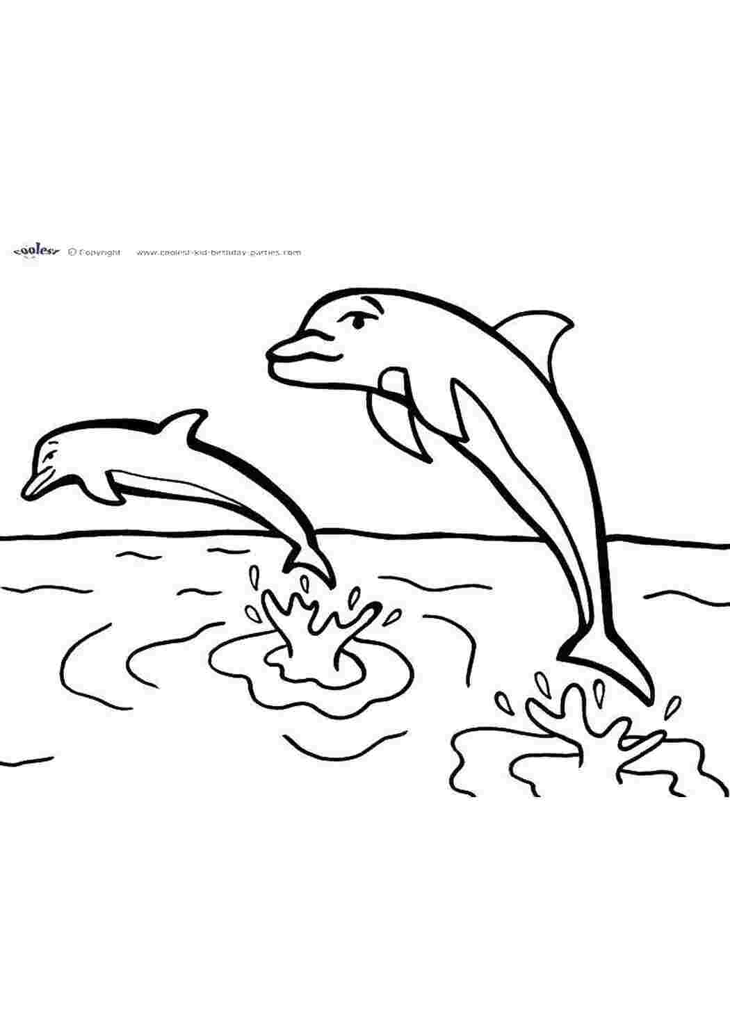 Раскраски Два дельфина над водой Морские животные дельфин, вода, хвост
