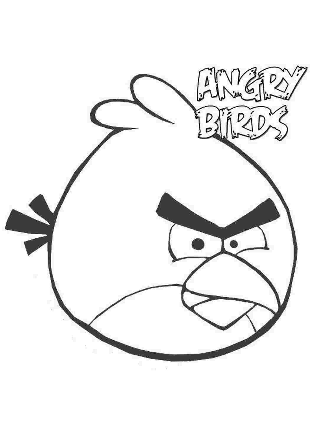 Раскраски, Птичка из angry birds , angry birds Игры, Angry Birds , Angry  birds на пикнике, Птички из angry birds , Круглая птичка из angry birds,  Птички из angry birds , Энгри