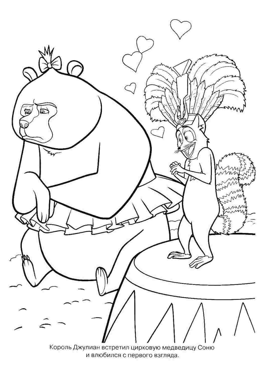 Раскраски Король джулиан и медведица соня мадагаскар Мадагаскар, Алекс, Джулиан, Соня