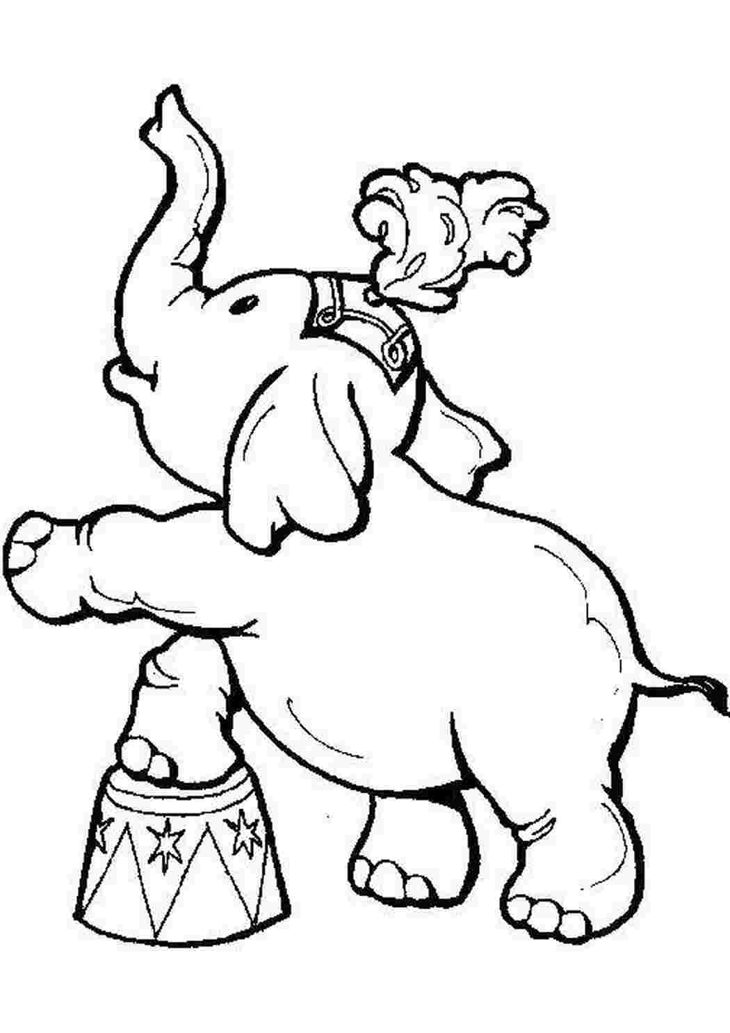 Раскраски Цирковой слон раскраски слоны, цирки