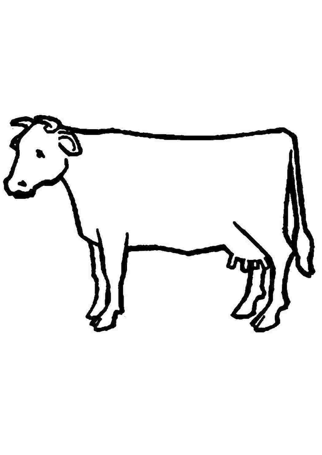 Раскраски Корова. Животные Животные, корова