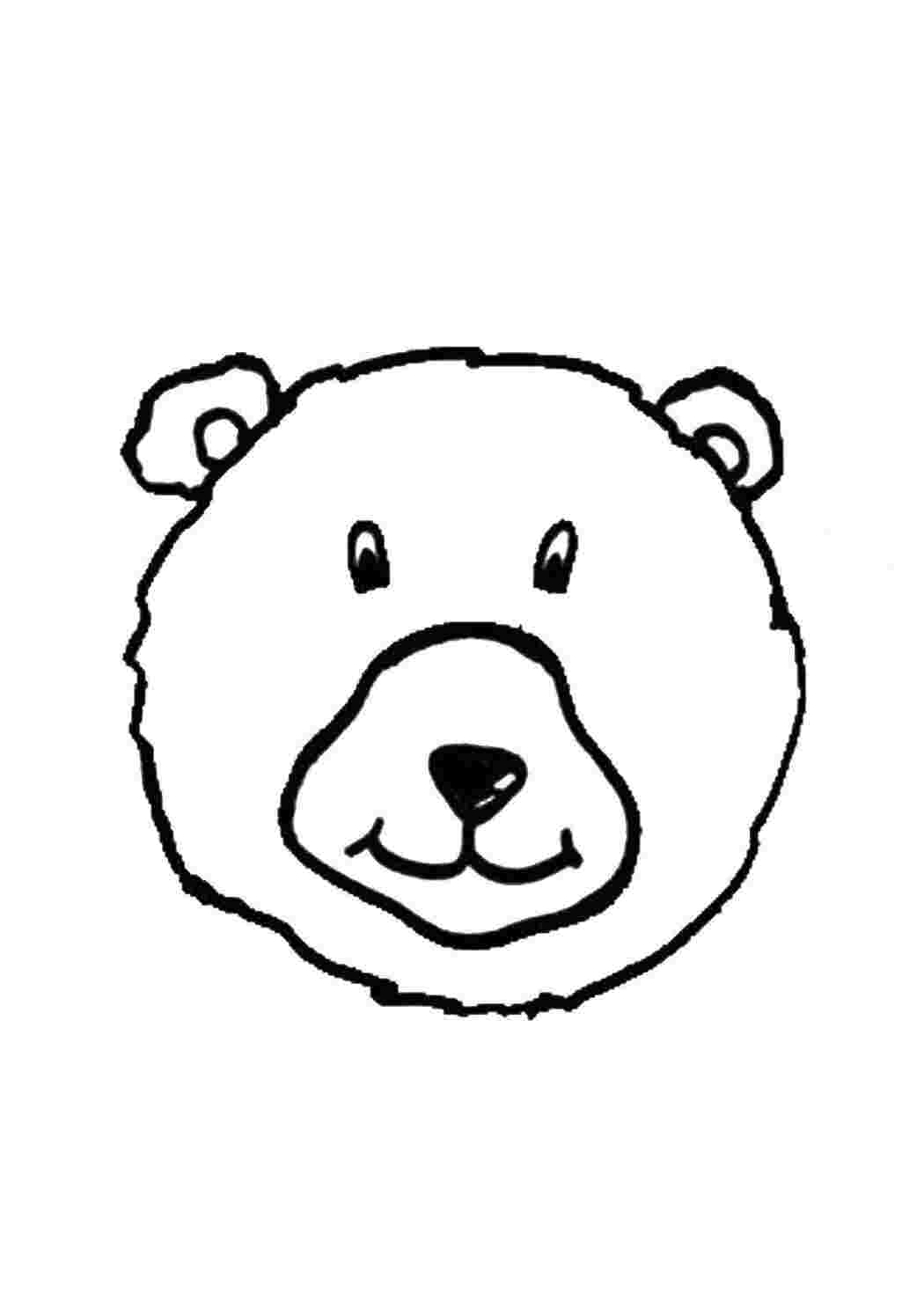 Раскраски Мордочка медведя медведь медведь, мишки