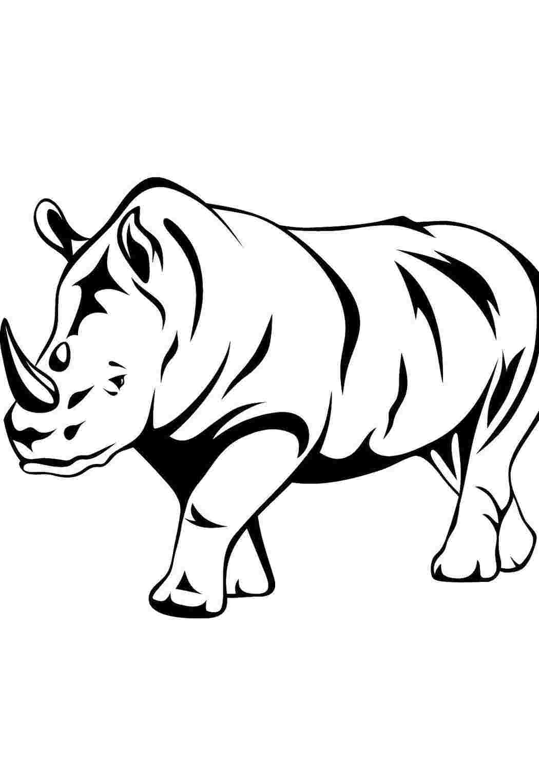 Раскраски Носорог Контуры животных носорог