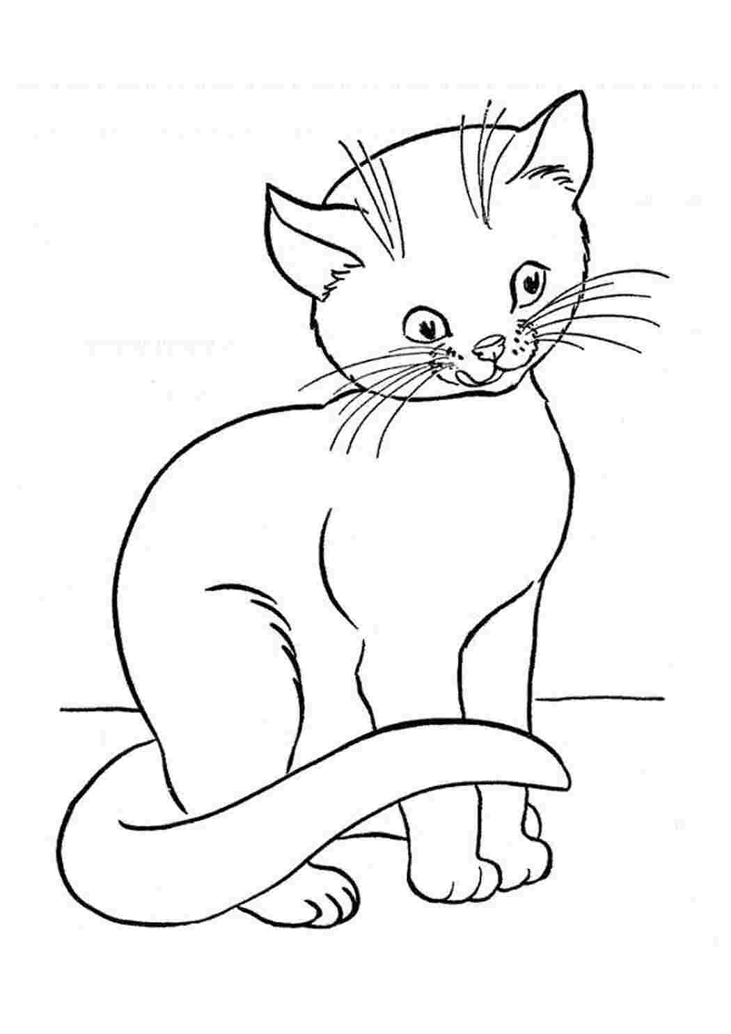 Раскраски Кошка Домашние животные кошка
