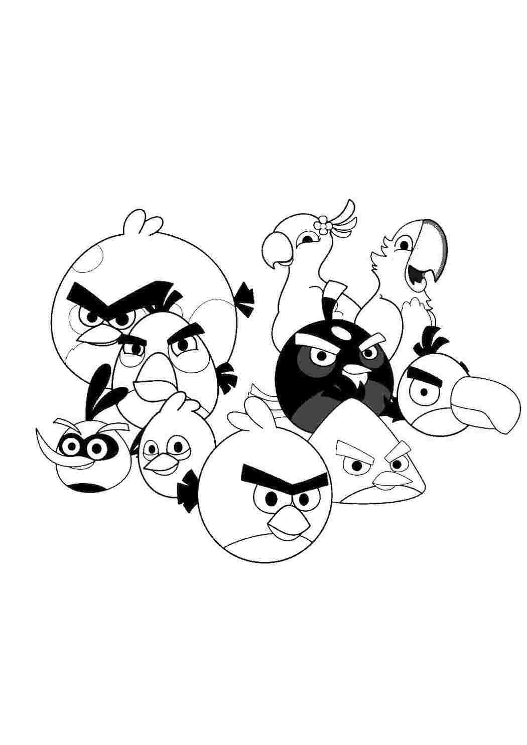 Раскраски Птицы голубая ара и angry birds angry birds angry birds, птицы