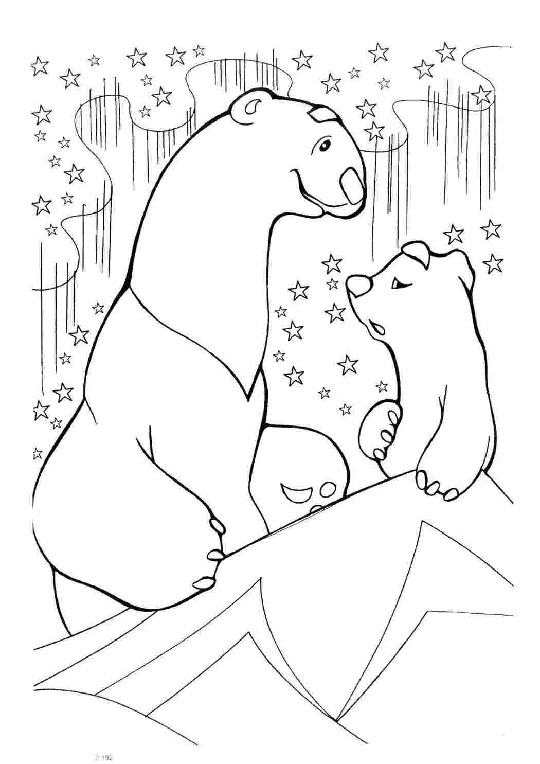 Раскраски Мама медведица с медвежонком медвежонок умка Животные, белый медведь