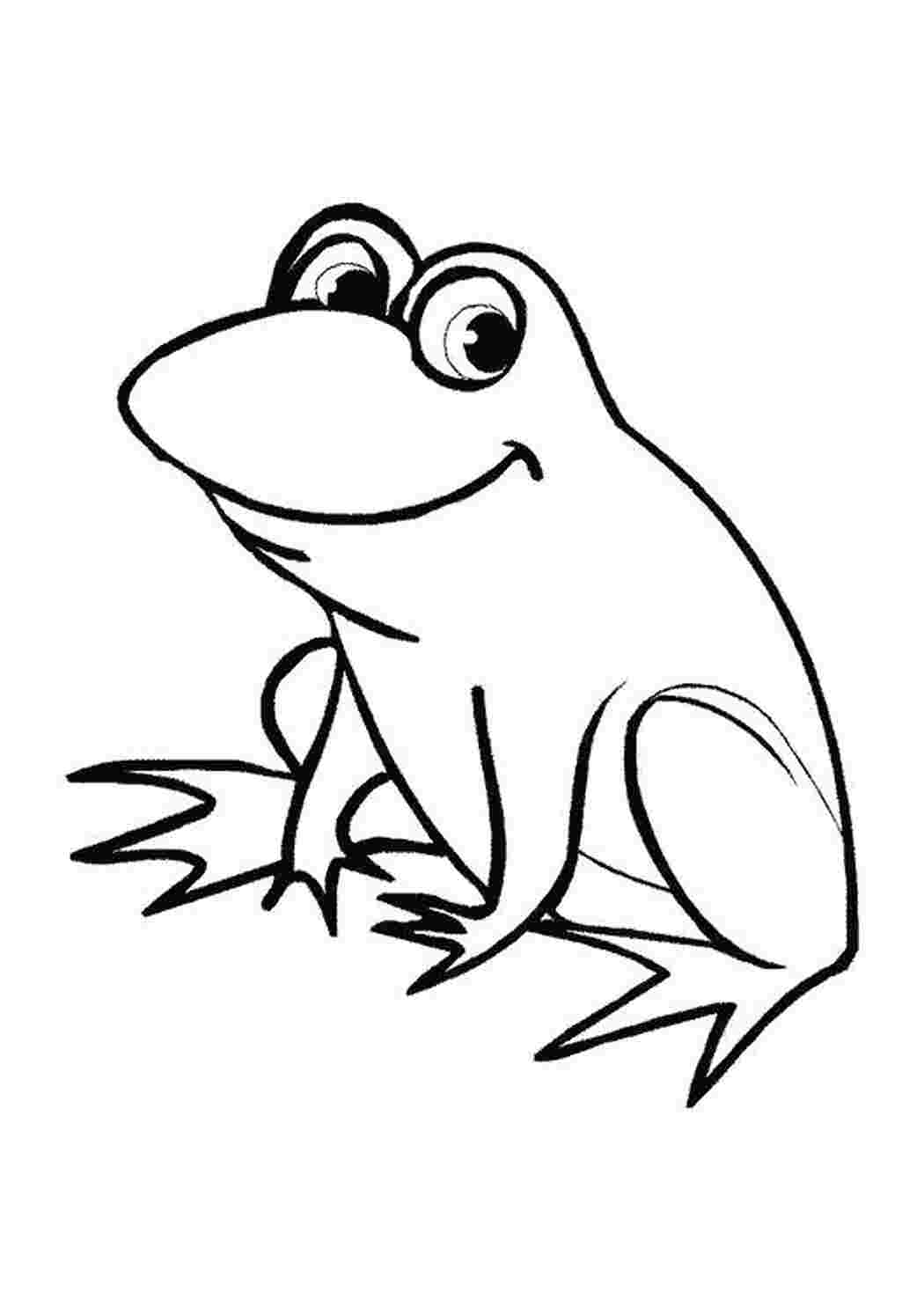 Раскраски Раскраски лягушки, жабы  frog