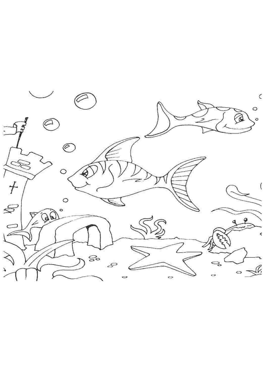 морские обитатели море, вода, рыбы, морские жители