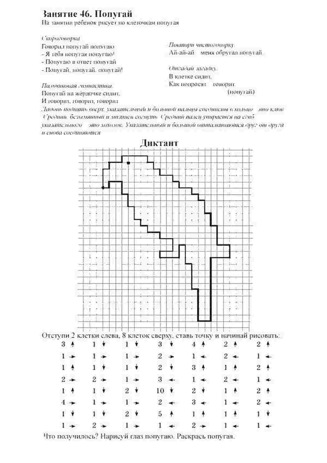 графический диктант математика, загадка, попугай