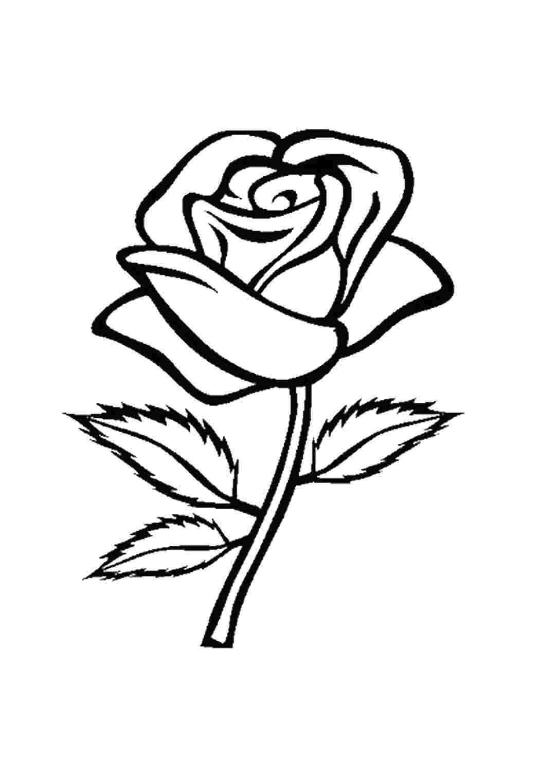 Раскраски Розочка без шипов цветы цветы, розы