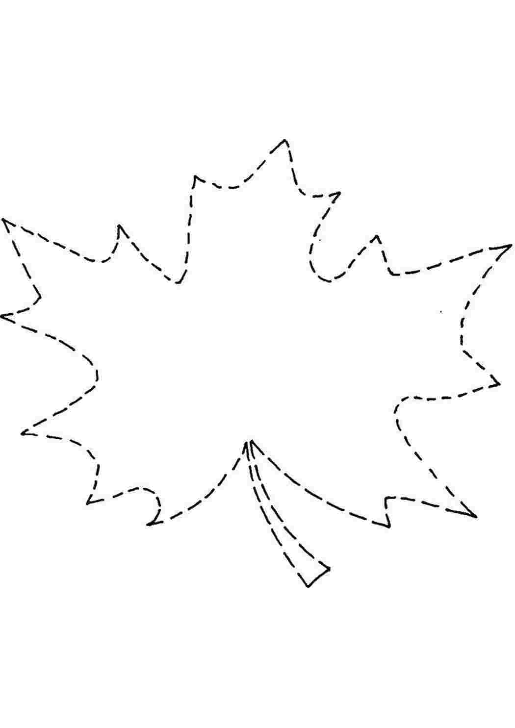 Раскраски Контур кленового листка Контуры листьев Контур, лист
