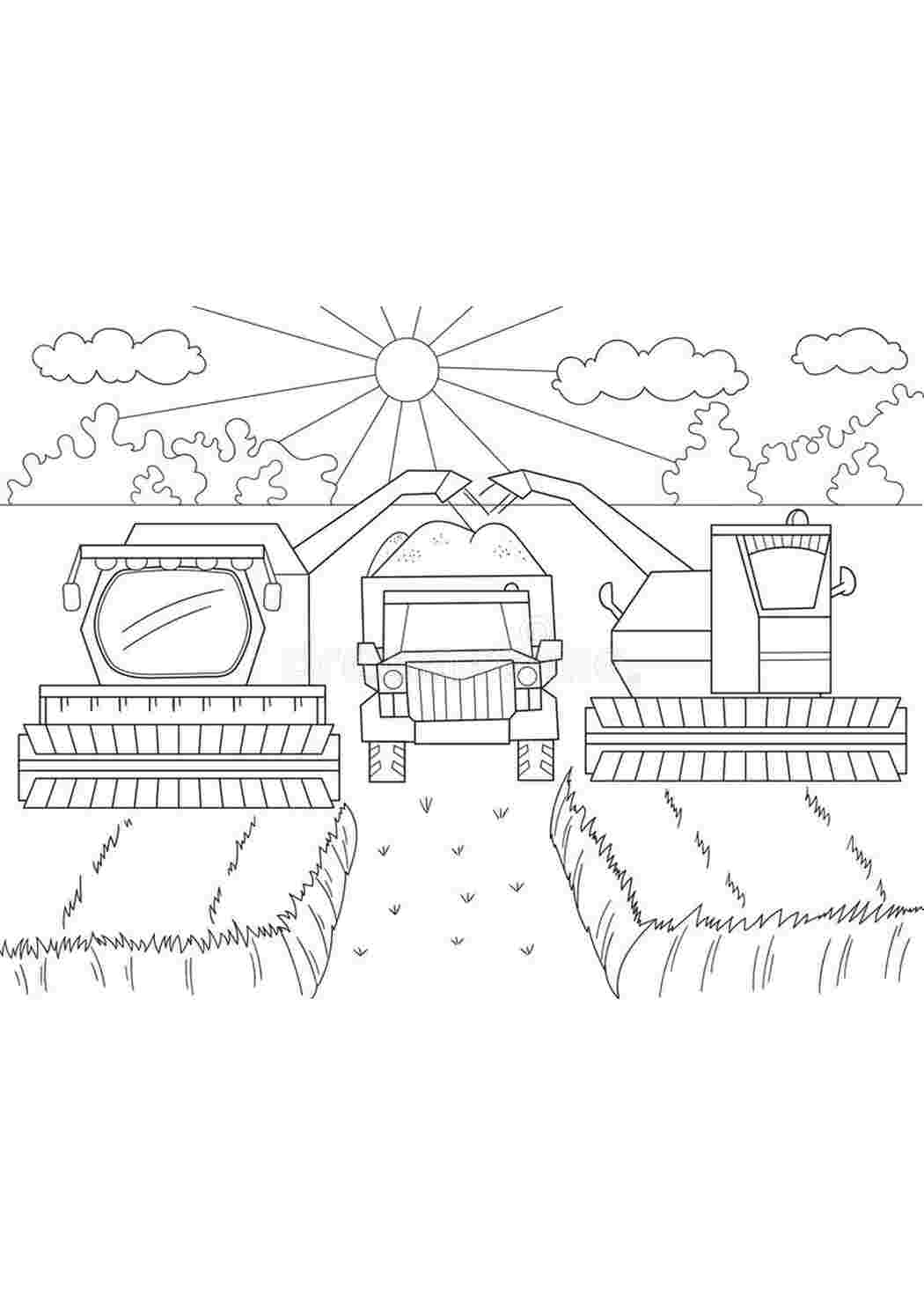Раскраски Для мальчиков Сельхозтехника  Для мальчиков, Сельхозтехника, Раскраска, Раскраски для мальчиков, Сельхозтехника, Комбайны, Сбор зерна, Грузовик.jpg