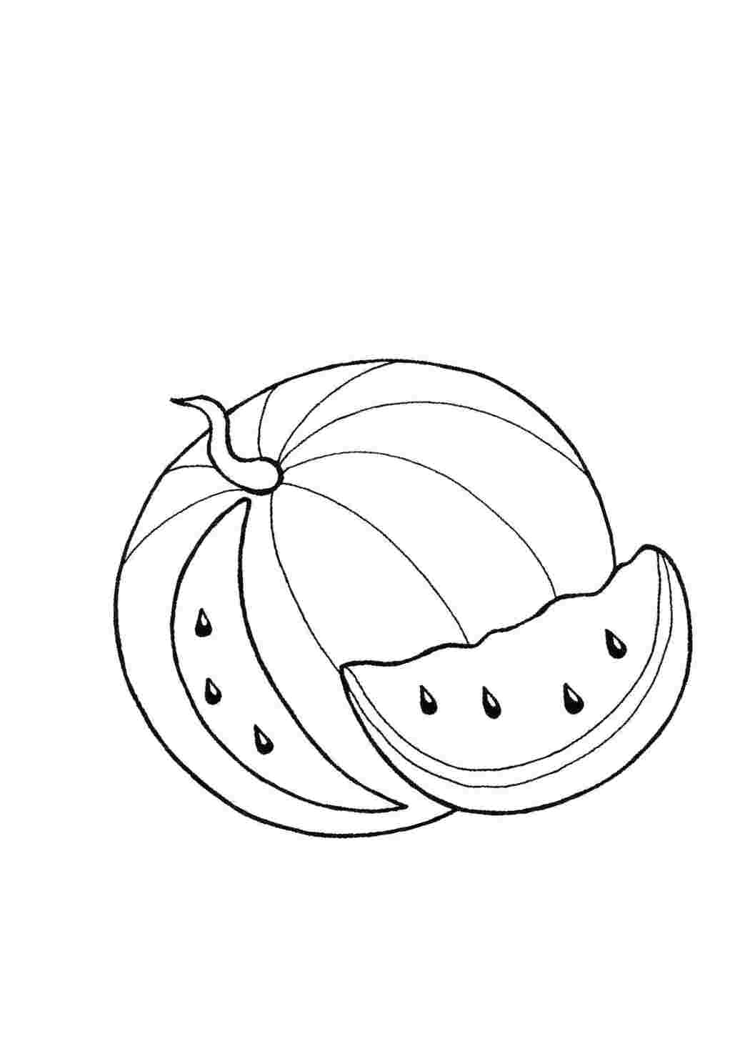 Раскраски  арбуз  ягоды арбуз
