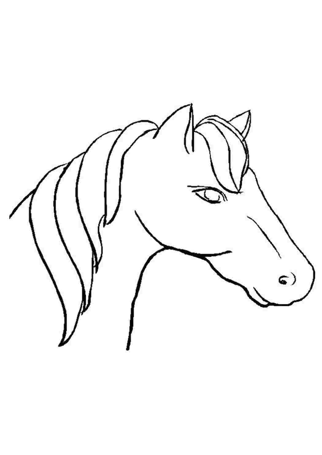 Раскраска лошадь: векторные изображения и иллюстрации, которые можно скачать бесплатно | Freepik